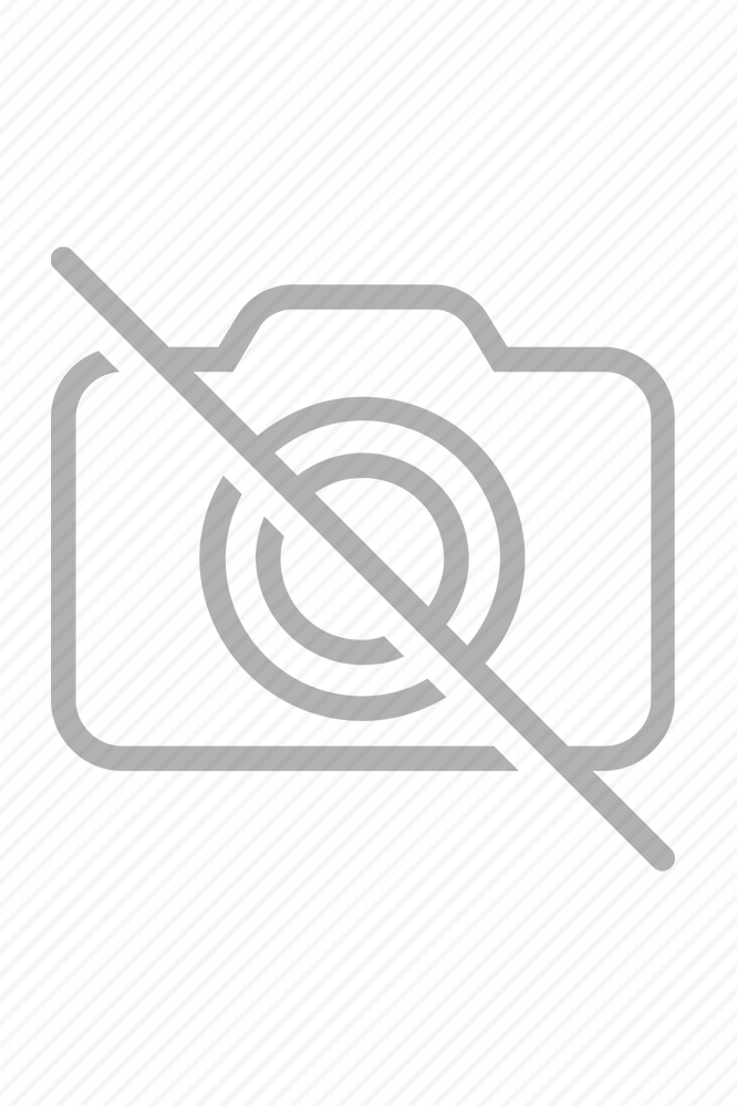 BDM Exclusive Parlak Şifon Pelerinli Yırtmaç Detaylı Büyük Beden Abiye Elbise